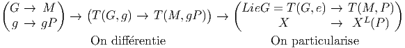 (          )    (                     )   (                            )
  G  →  M    →   T (G, g) →  T (M,  gP ) →    LieG  = T (G, e) →  T (M,  P)
  g  →  gP                                        X         →   XL (P )
                 On diff erentie                   On  particularise
       