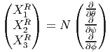 (     )      (  ∂ )
  XR1           ∂θ-
( XR2 ) =  N ( ∂∂ψ-)
  XR           -∂
    3          ∂ϕ 