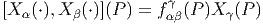 [X α(⋅),X β(⋅)](P) = fαγβ(P )X γ(P)  