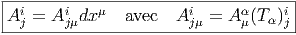 |-----------------------------------|
Ai =  Ai dx μ  avec  Ai   = A α(Tα)i|
--j----jμ--------------jμ-----μ----j-
