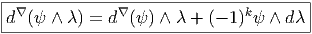 |-------------------------------------|
d∇ (ψ ∧ λ) = d∇ (ψ) ∧ λ + (- 1)kψ ∧ dλ |
---------------------------------------  