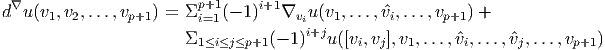  ∇                      p+1     i+1
d u (v1,v2,...,vp+1) = Σi=1(- 1)   ∇viu(v1,...,vˆi,...,vp+1) +
                       Σ1≤i≤j≤p+1(- 1)i+ju ([vi,vj],v1,...,ˆvi,...,ˆvj,...,vp+1)
