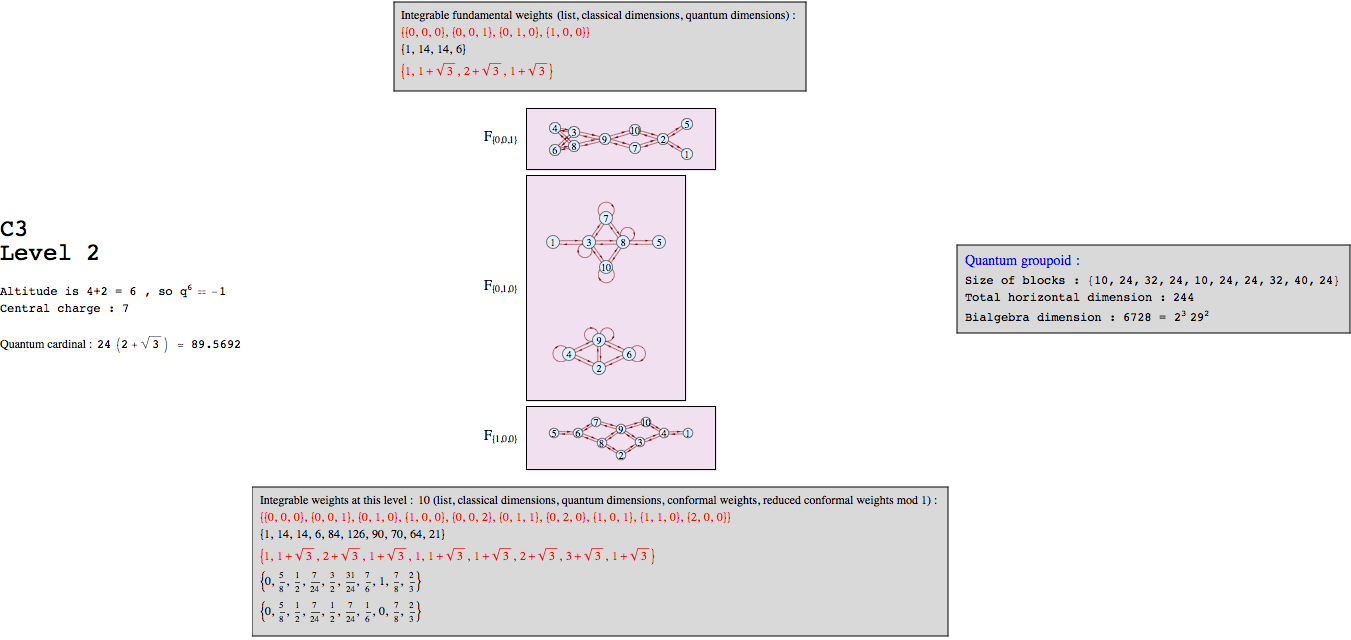 "C3k2graph_1.gif"