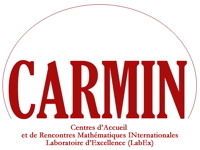 Logo CARMIN