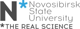 Logo NSU